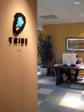 Tribe office logo